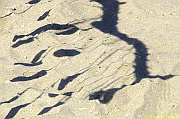 32 FESTIVAL CERVIA 2012 - 015
